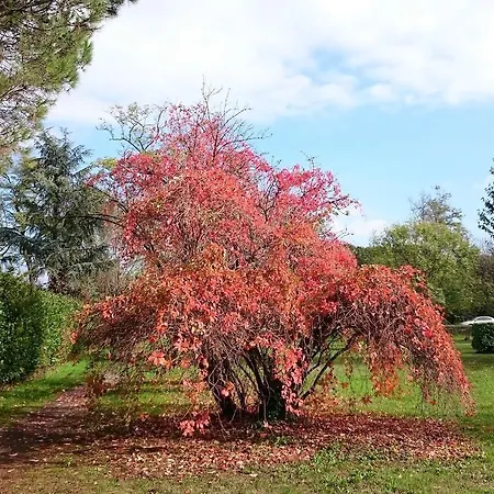 La Casa Nel Parco *