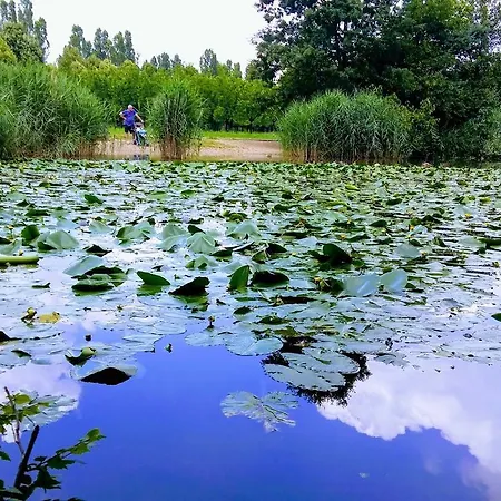 Frühstückspension La Casa Nel Parco